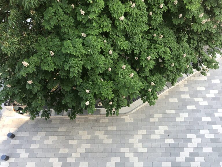 Grundschule im Werksviertel