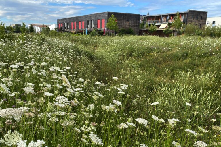 Aubachpark Burgweinting