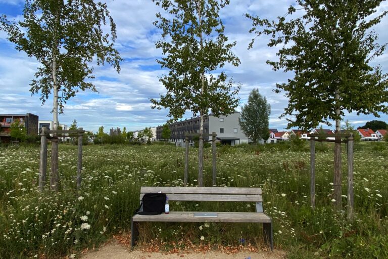 Aubachpark Burgweinting