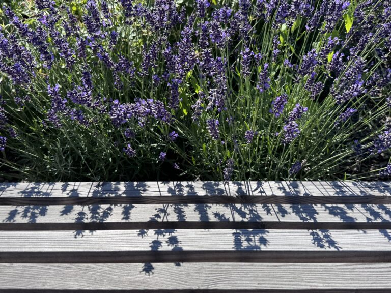 Mathäser Markt Ruhstorf