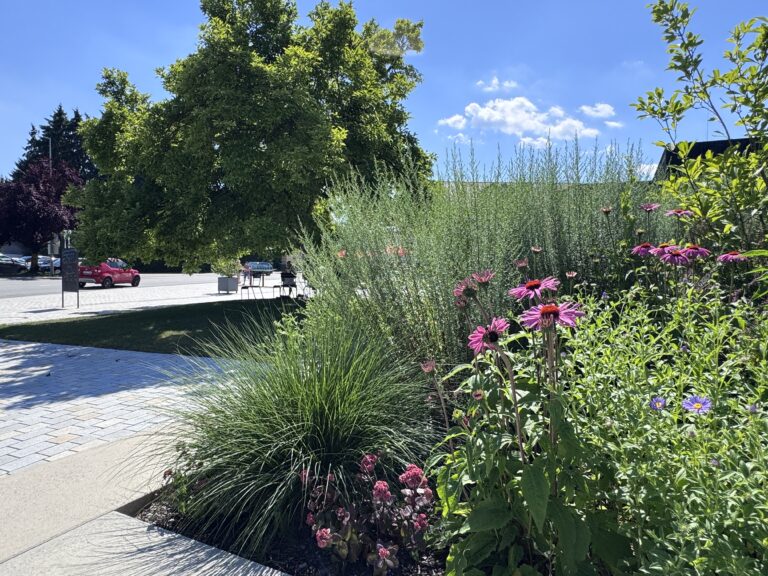 Mathäser Markt Ruhstorf