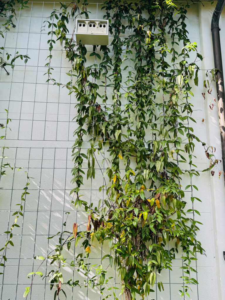 Fassadenbegrünung Betriebshöfe