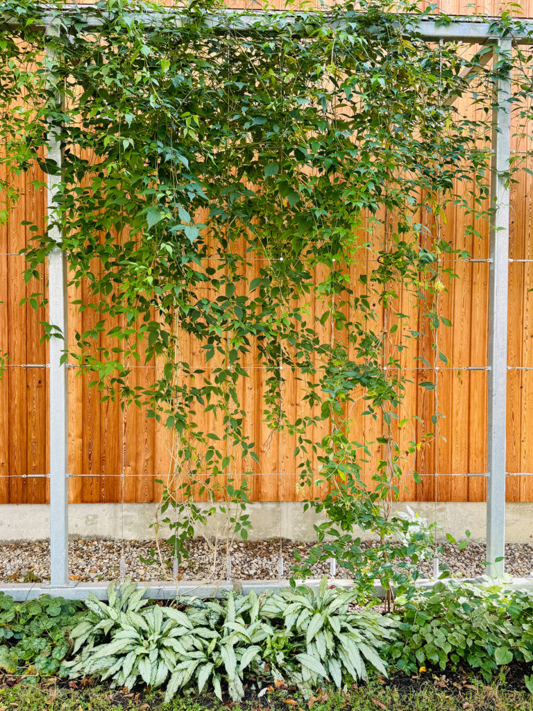 Fassadenbegrünung Betriebshöfe