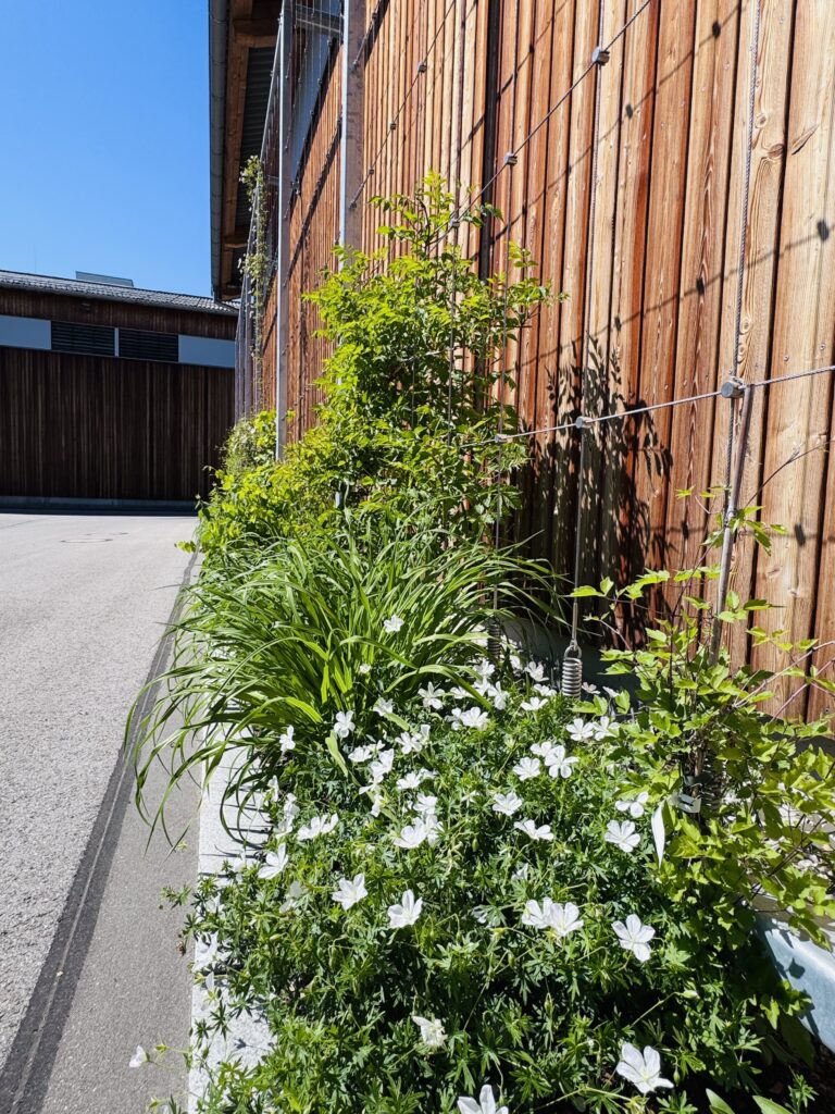 Fassadenbegrünung Betriebshöfe