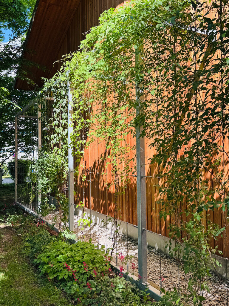 Fassadenbegrünung Betriebshöfe