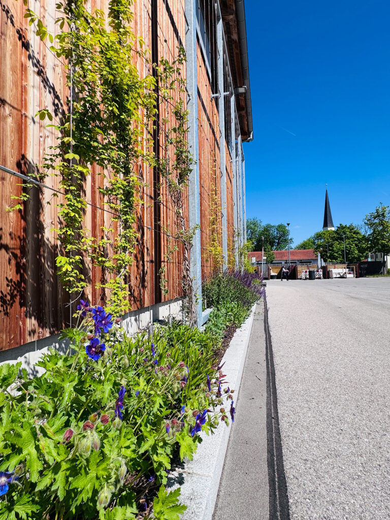 Fassadenbegrünung Betriebshöfe