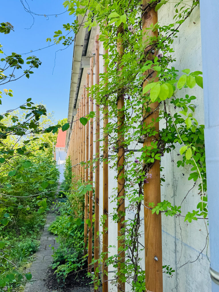 Fassadenbegrünung Betriebshöfe